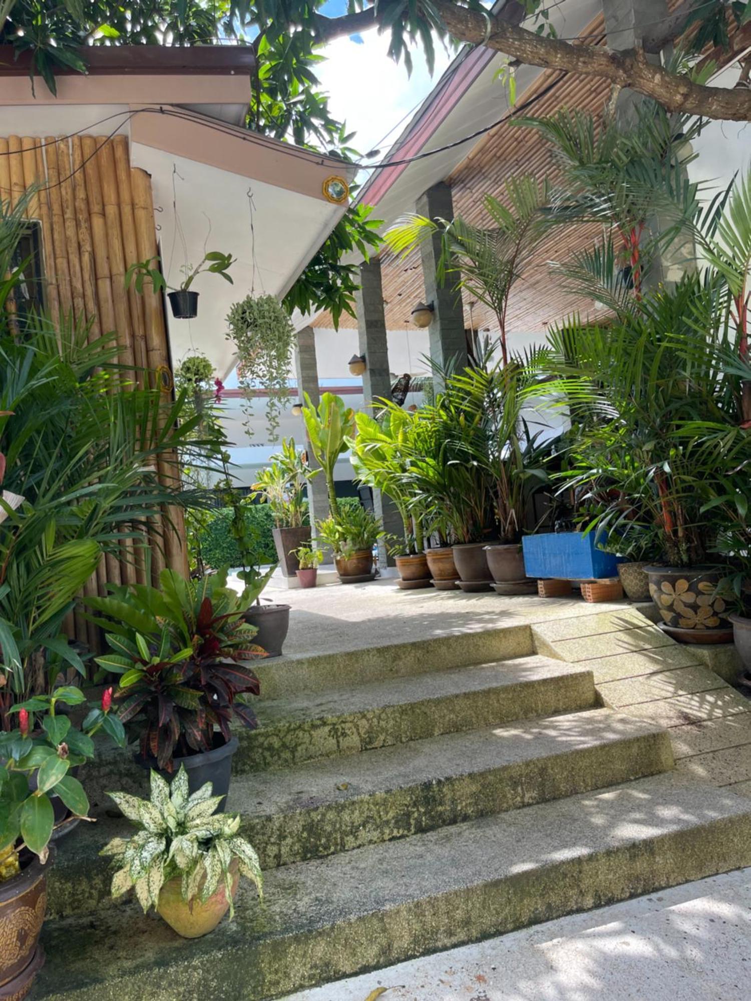 Lotus Bleu Resort & Restaurant Rawai Εξωτερικό φωτογραφία